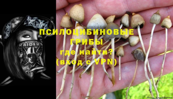 не бодяженный Алексин