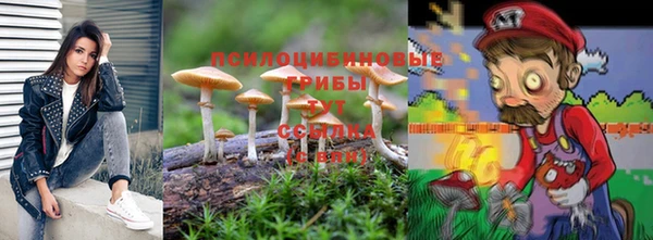 соль курить ск Няндома