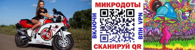 Псилоцибиновые грибы MAGIC MUSHROOMS  Славск 